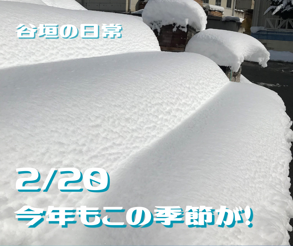今年もこの季節がやってきました！