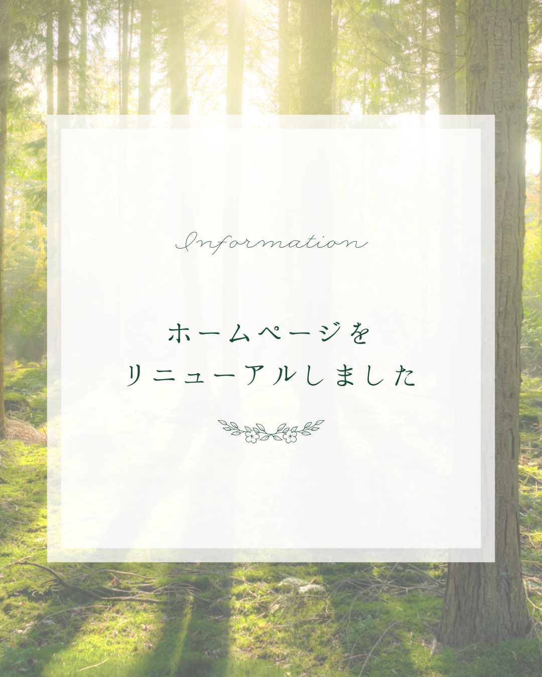 ホームページをリニューアルしました